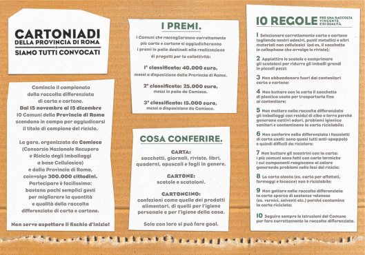 Cartoniadi 2011, regole e montepremi