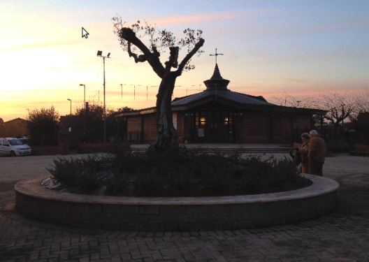 Prima fontana abbandonata, oggi aiuola con ulivo centenario Prima fontana abbandonata, oggi aiuola con ulivo centenario