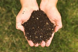 Il compost prodotto dalla compostiera Il compost prodotto dalla compostiera