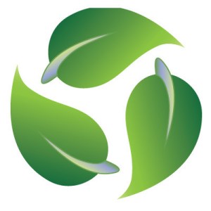 Un partenariato a salvaguardia dell'ambiente Un partenariato a salvaguardia dell'ambiente