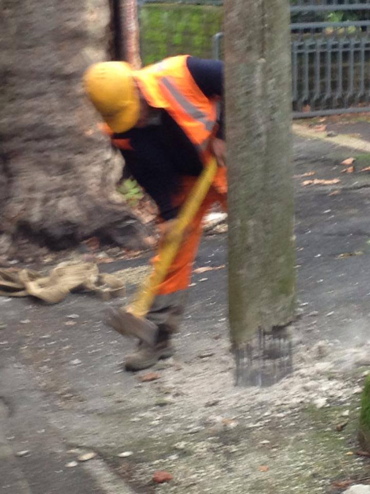 Bonifica dei pali in cemento armato dal lungo lago